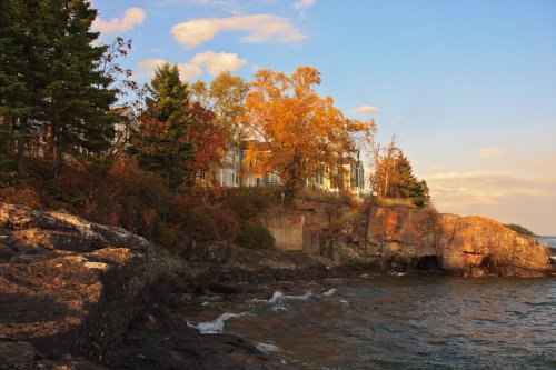 Trees on Lake Superior